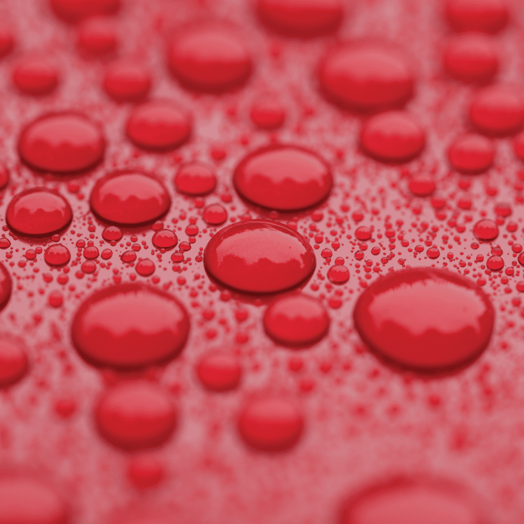 Car exterior protected with ceramic coating